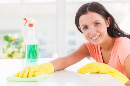 Professional sofa cleaning service for a Knightsbridge living room