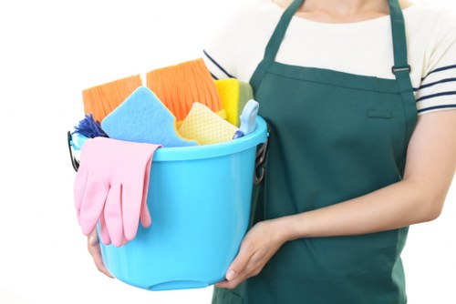 Professional after builders cleaning in a Knightsbridge luxury apartment
