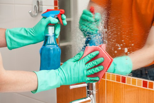 Professional oven cleaning service for Knightsbridge homes and apartments