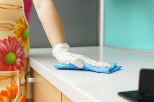 Thorough kitchen deep clean in Knightsbridge home