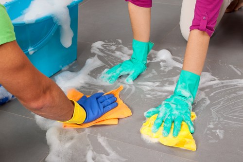 Domestic cleaning for a Knightsbridge apartment with careful attention to detail