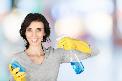 Professional home cleaning in Knightsbridge for kitchens and living spaces