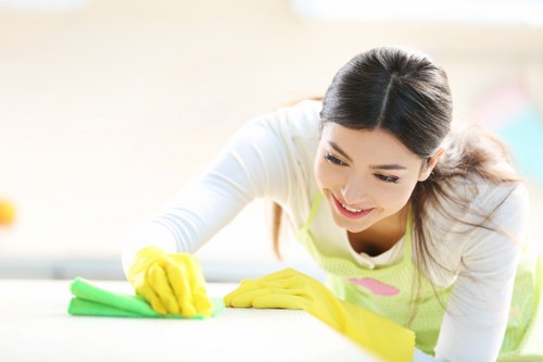 Dust removal and stain treatment during rug cleaning