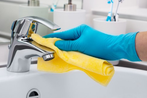 End of tenancy cleaning for a Knightsbridge property