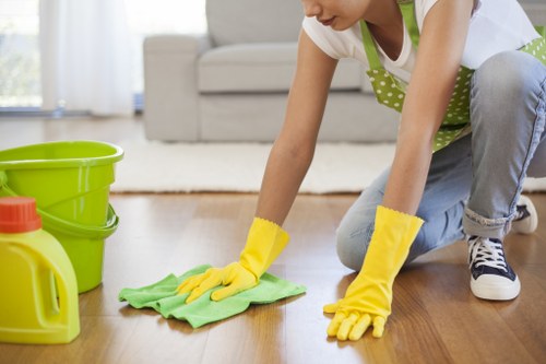 Professional cleaners working in a Knightsbridge property
